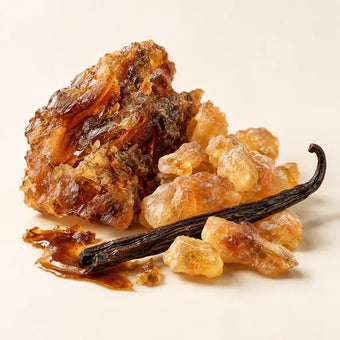 Amber Accord