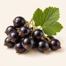 Blackcurrant