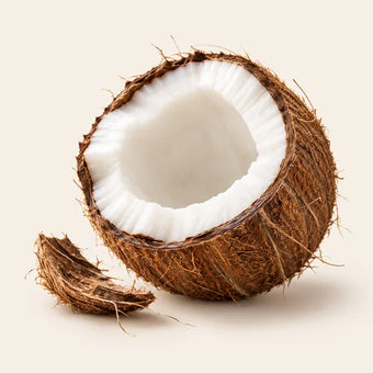 Coconut
