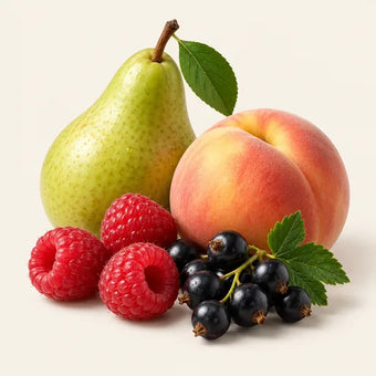 Fruity Notes