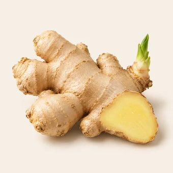Ginger