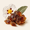 Labdanum