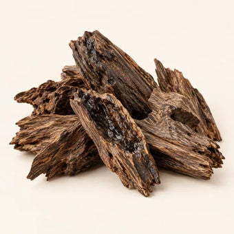 Oud / Agarwood