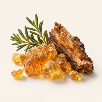 Balsam