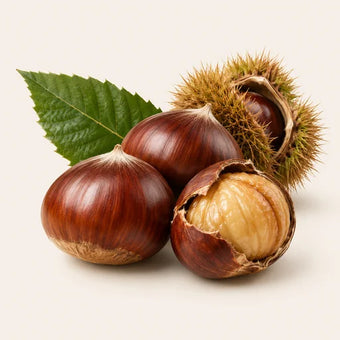 Chestnut