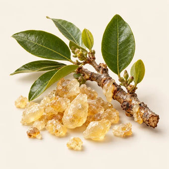Elemi