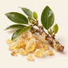 Elemi