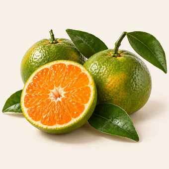 Green Mandarin
