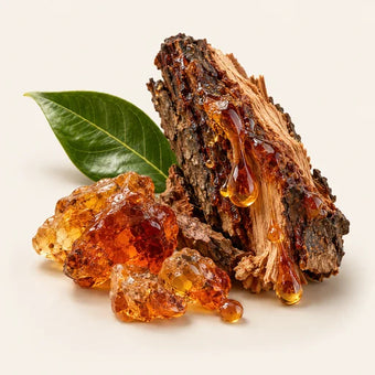 Gurjun Balsam