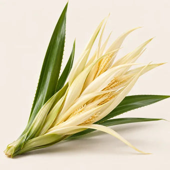 Kewda