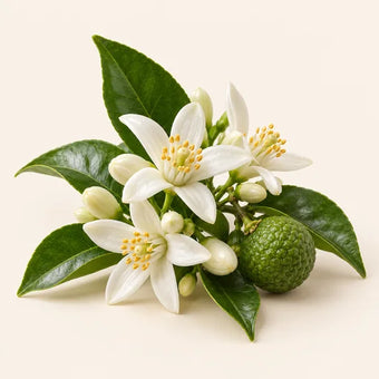 Neroli