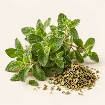 Oregano