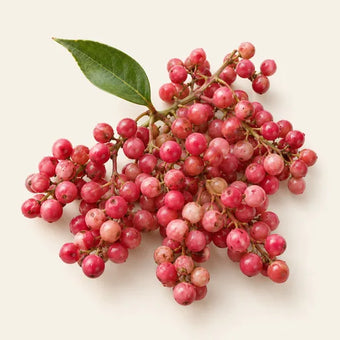 Pink Pepper