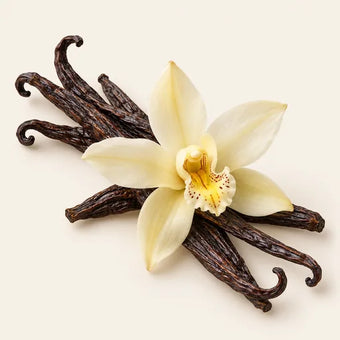 Vanilla