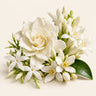 White Flowers